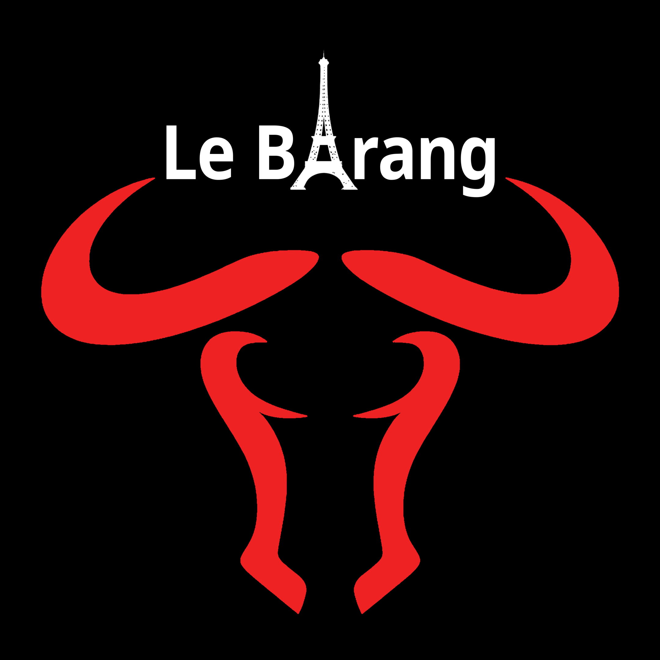 Logo Couleur